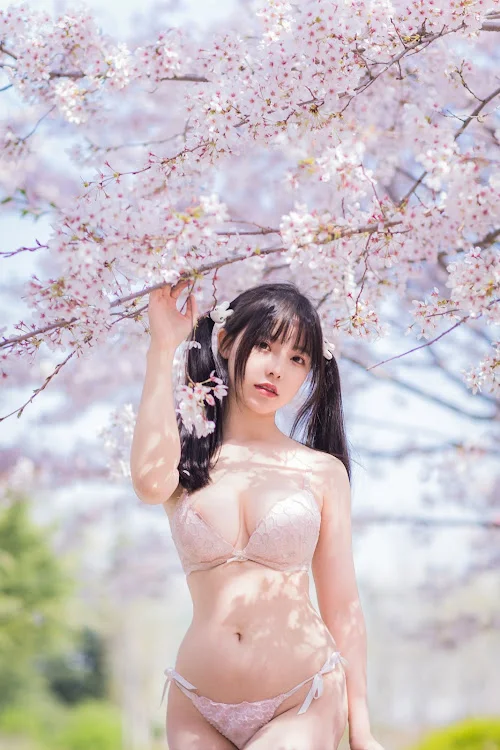 六味帝皇酱 – 樱花女友