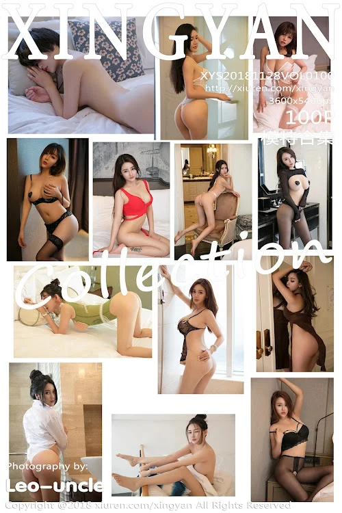 XingYan Vol.100 Various Models