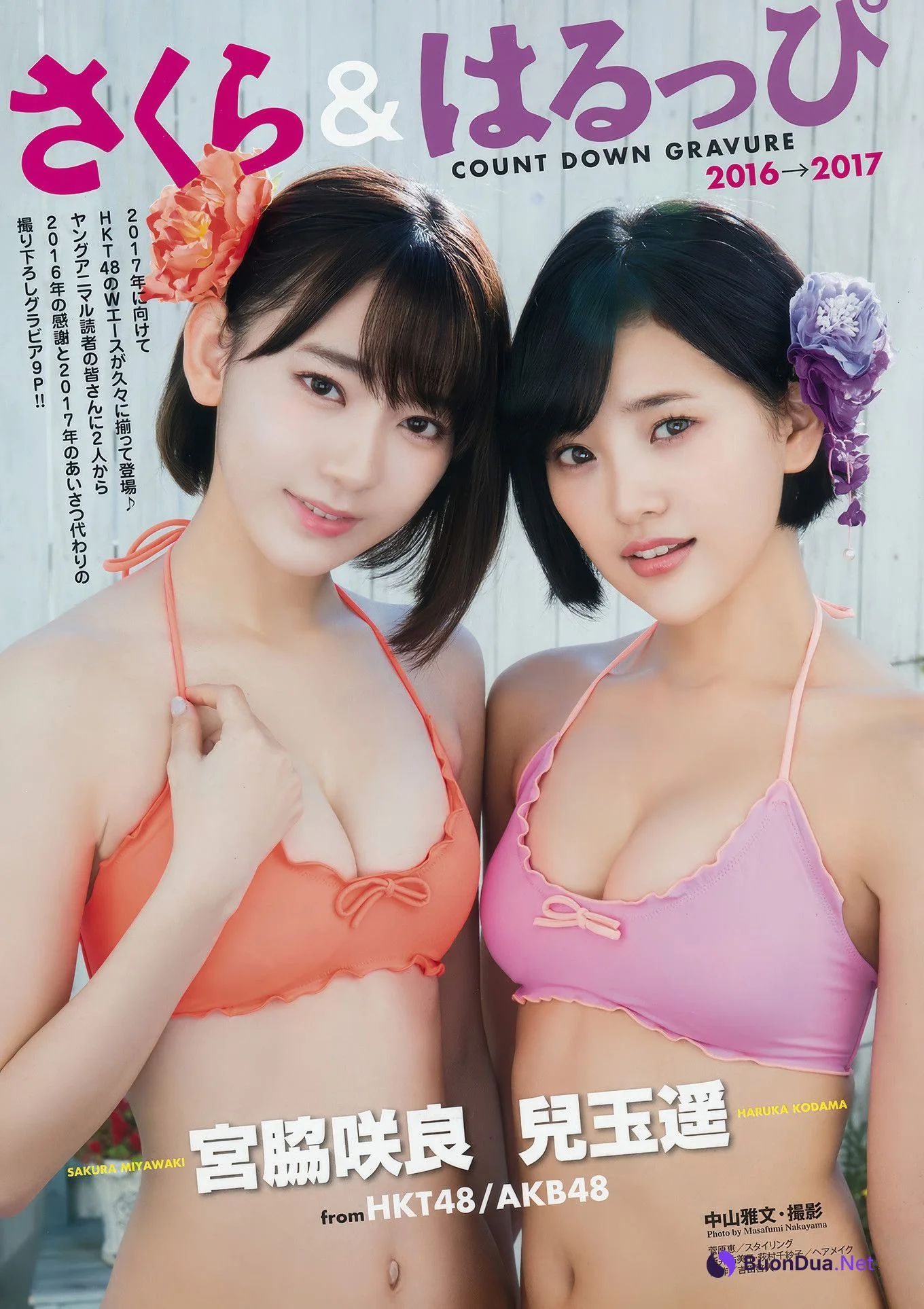 宮脇咲良・兒玉遥, Young Animal 2017 No.01 (ヤングアニマル 2017年1号) - Photo 3