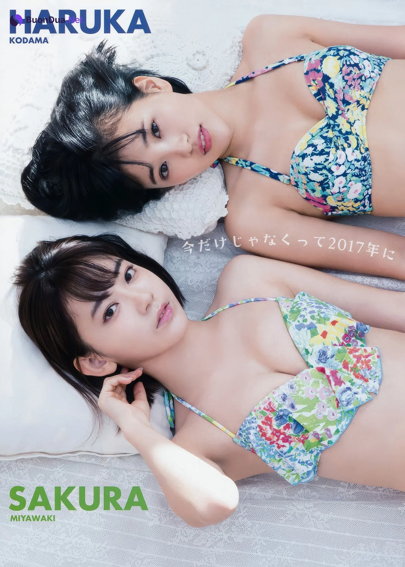 宮脇咲良・兒玉遥, Young Animal 2017 No.01 (ヤングアニマル 2017年1号) - Photo 9