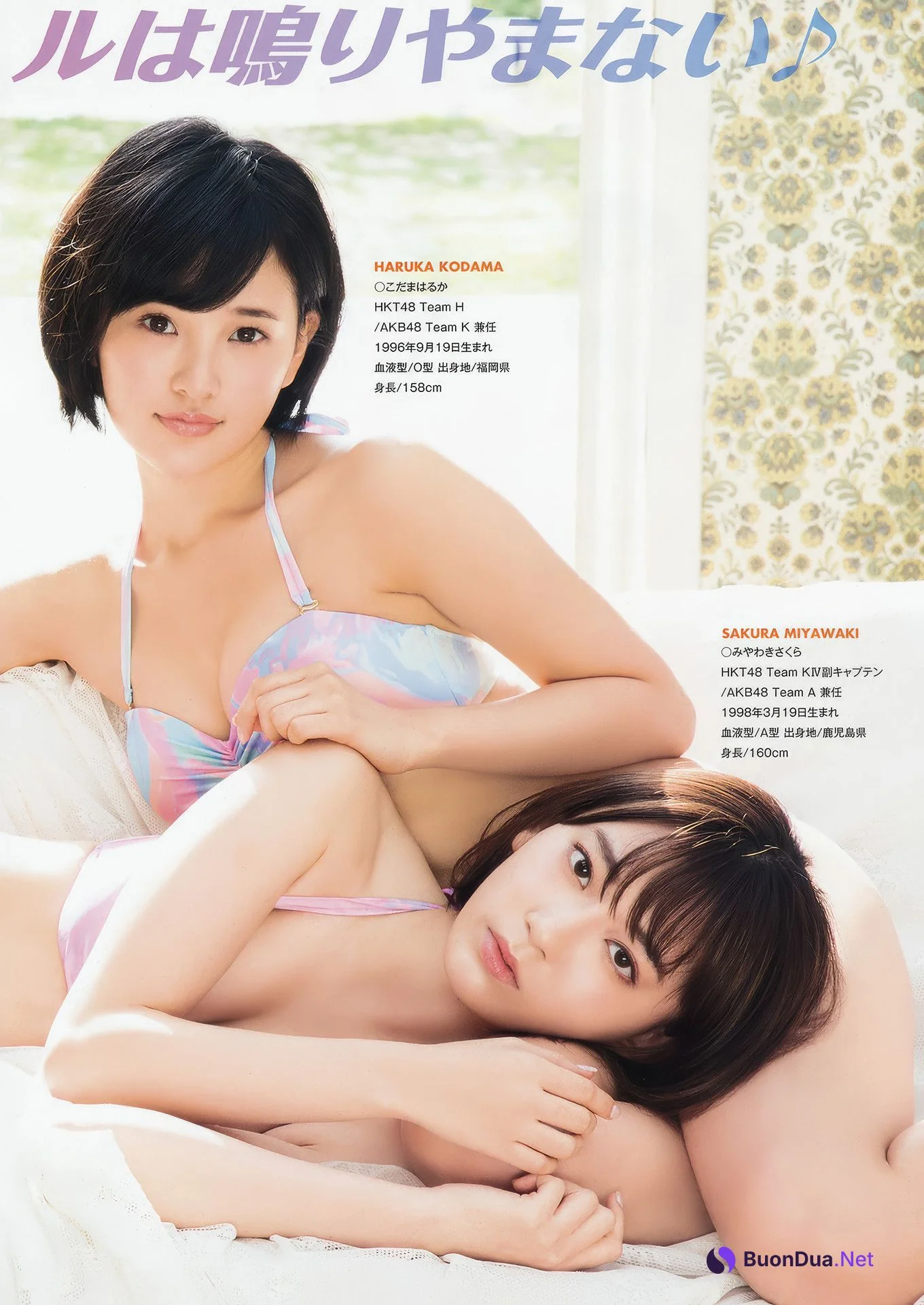 兒玉遥・宮脇咲良, Young Animal 2017 No.03 (ヤングアニマル 2017年3号) - Photo 11