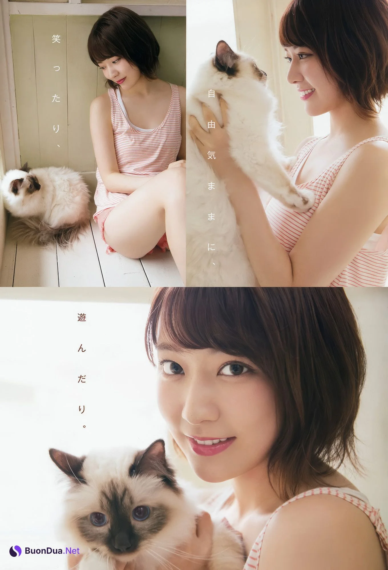 宮脇咲良・月足天音, Young Animal 2017 No.16 (ヤングアニマル 2017年16号) - Photo 3