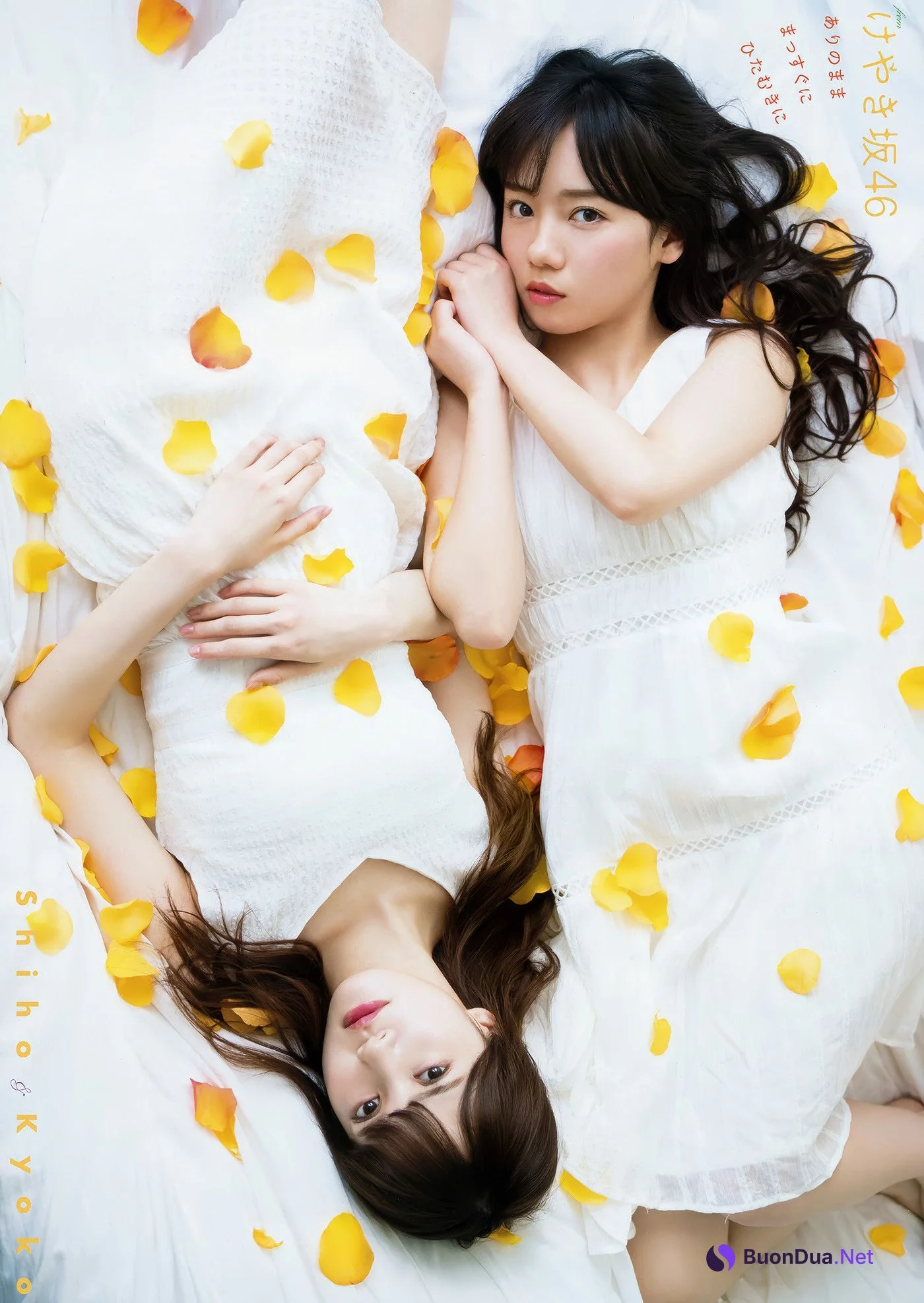 齊藤京子・加藤史帆・高瀬愛奈・潮紗理菜, Young Animal 2018 No.13 (ヤングアニマル 2018年13号) - รูปภาพ 11