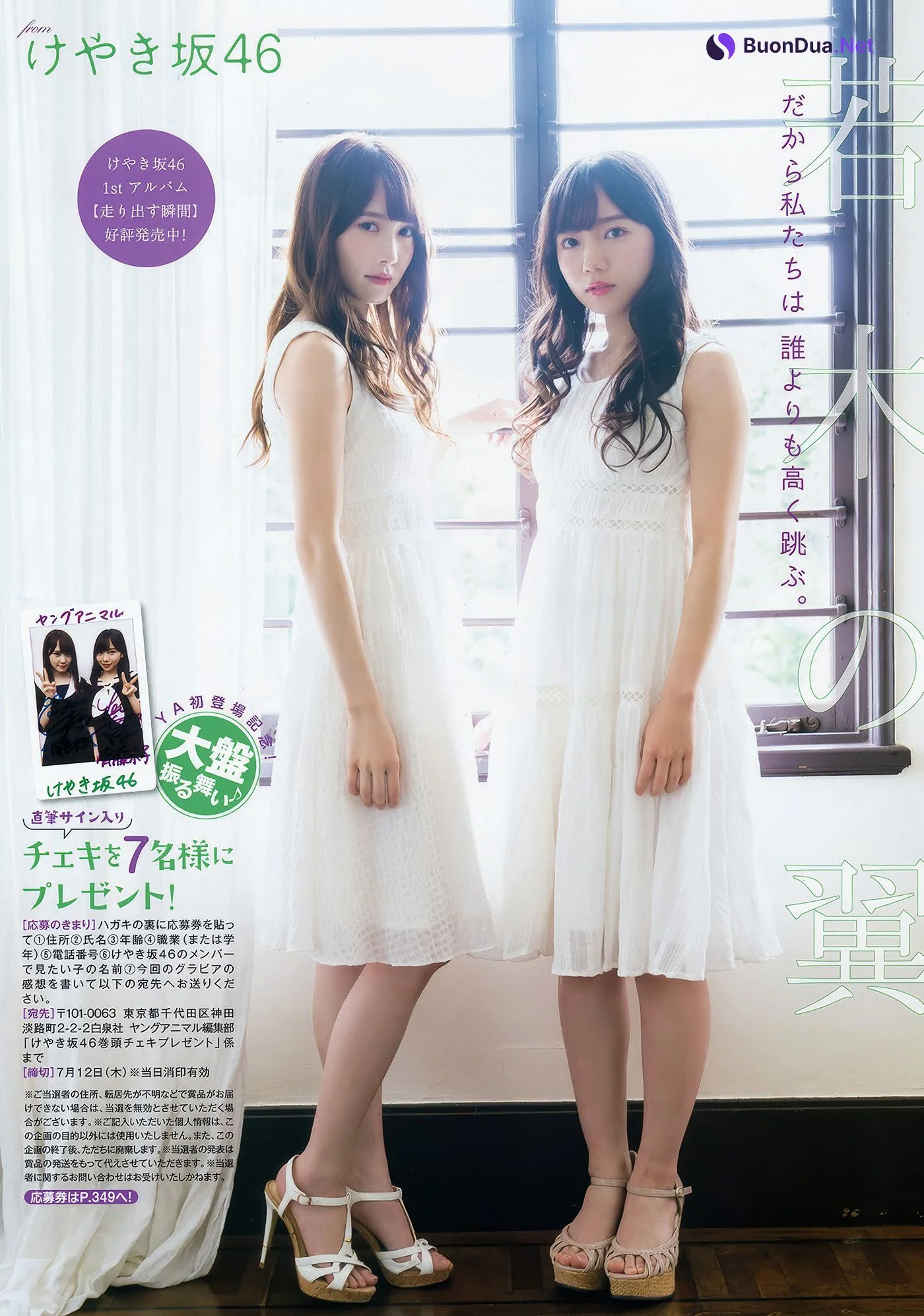齊藤京子・加藤史帆・高瀬愛奈・潮紗理菜, Young Animal 2018 No.13 (ヤングアニマル 2018年13号) - รูปภาพ 12