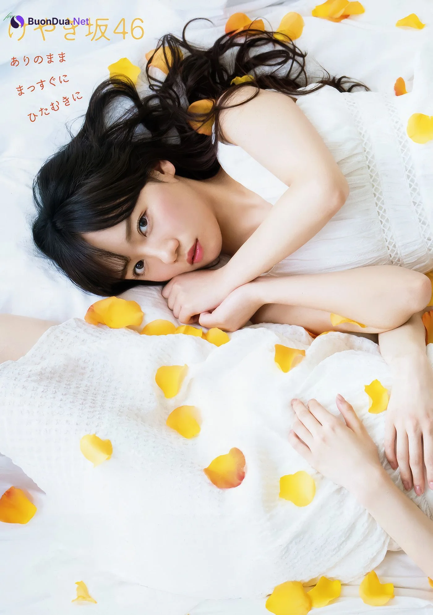 齊藤京子・加藤史帆・高瀬愛奈・潮紗理菜, Young Animal 2018 No.13 (ヤングアニマル 2018年13号) - รูปภาพ 9