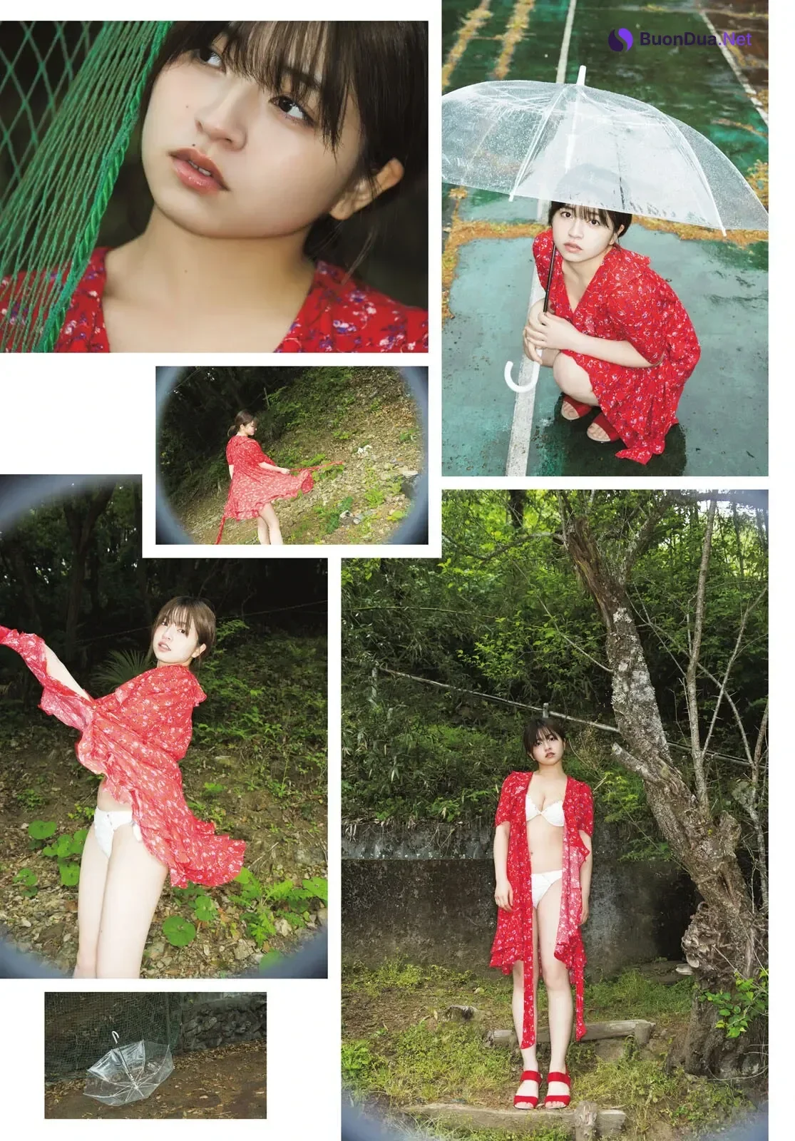 佐々木ほのか & 天野ちよ & 櫻井陽菜 – Young Dragon Age ヤングドラゴンエイジ 2026 Vol.35 - Photo 4