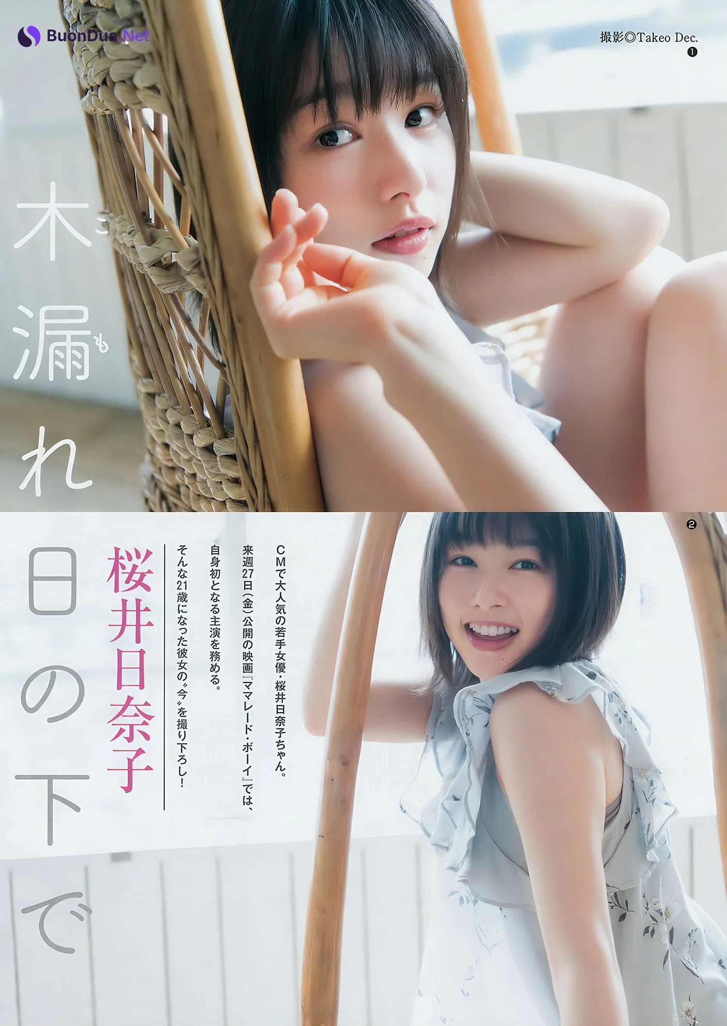 澤北るな 桜井日奈子, Young Jump 2018 No.20 (ヤングジャンプ 2018年20号) - Photo 11
