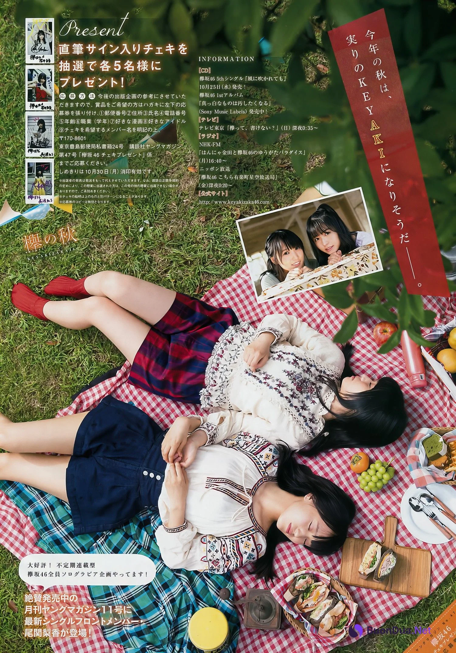 菅井友香・長濱ねる, Young Magazine 2017 No.47 (ヤングマガジン 2017年47号) - Photo 7