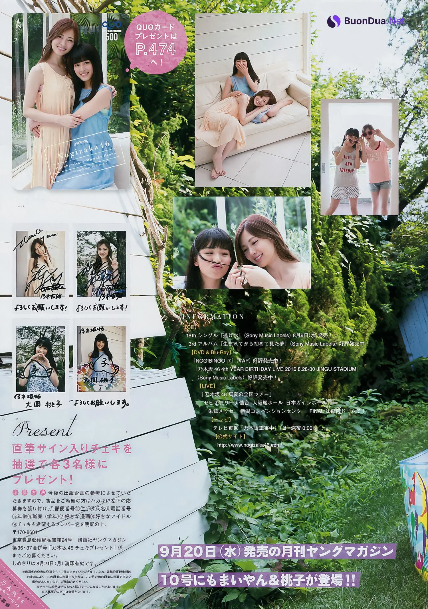 白石麻衣・大園桃子, Young Magazine 2024 No.37 (ヤングマガジン 2024年37号) - Photo 7