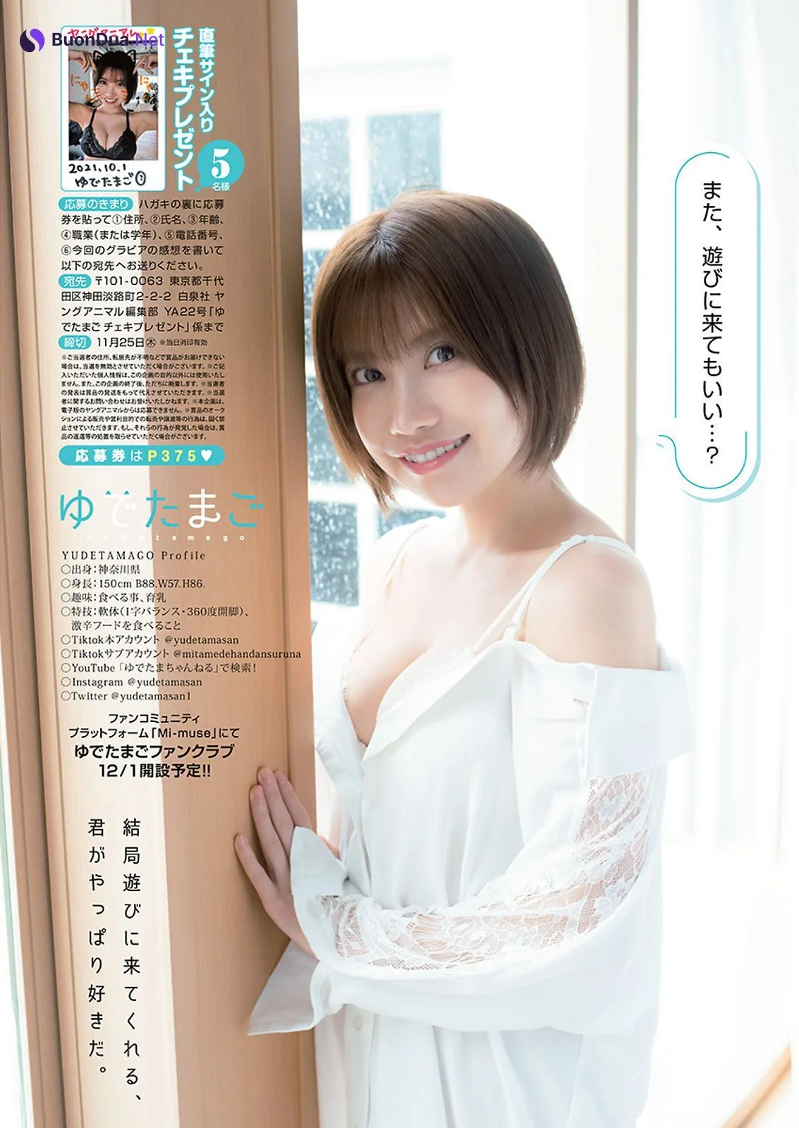 Yudetamago ゆでたまご, Young Animal 2021 No.22 (ヤングアニマル 2021年22号) - Photo 9