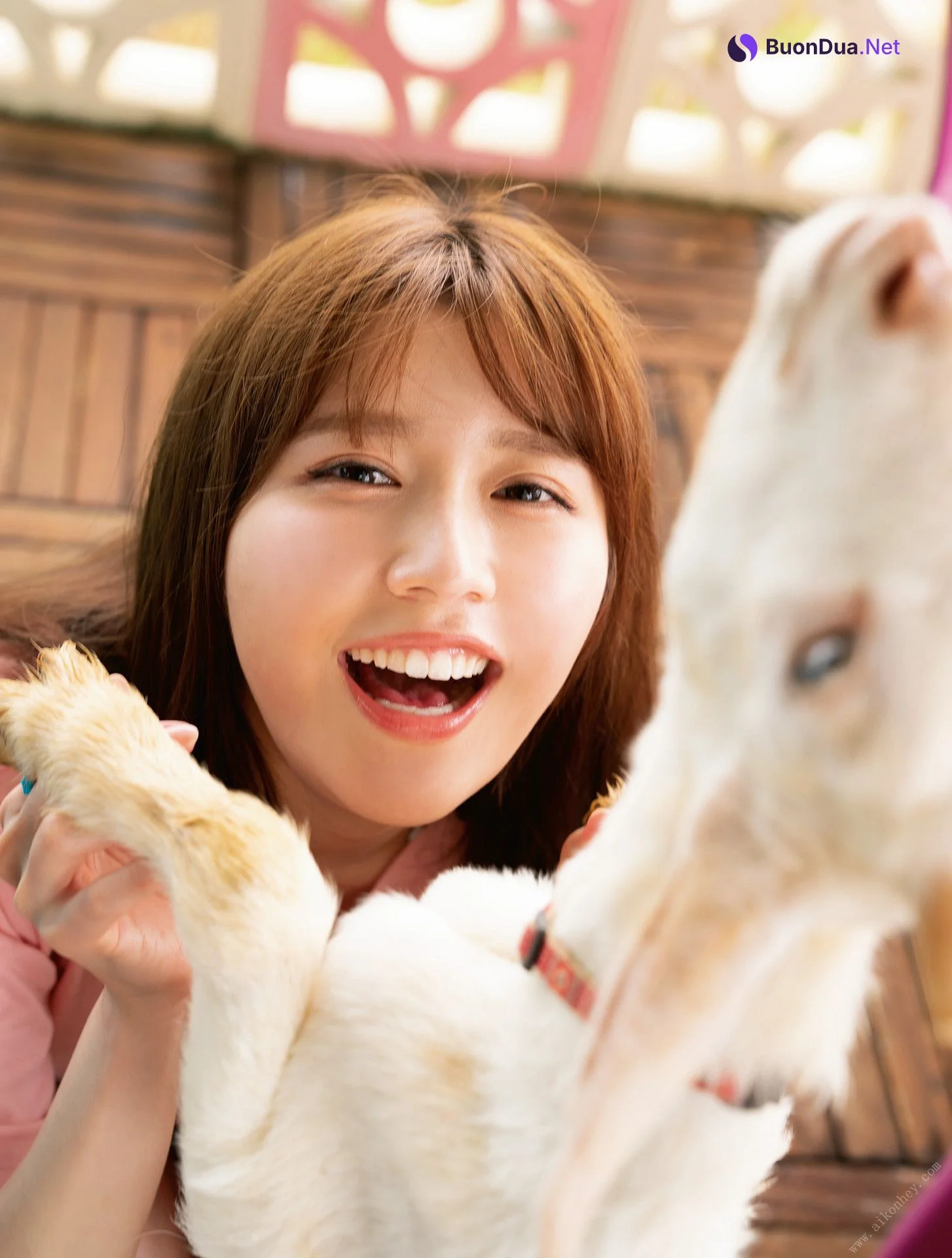 Yuka Kohinata 小日向ゆか, ファースト写真集 はじメェ～まして。 Set.04 - Photo 2