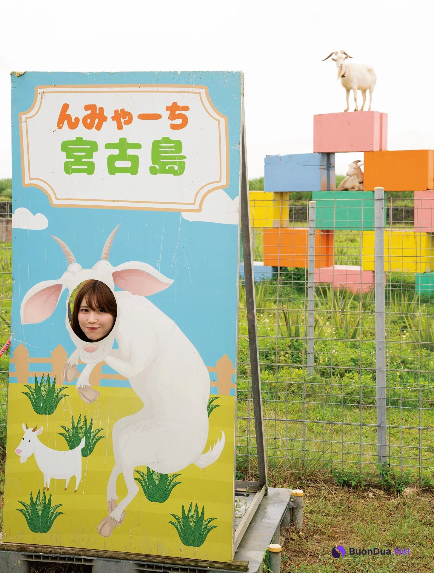 Yuka Kohinata 小日向ゆか, ファースト写真集 はじメェ～まして。 Set.04 - Photo 7