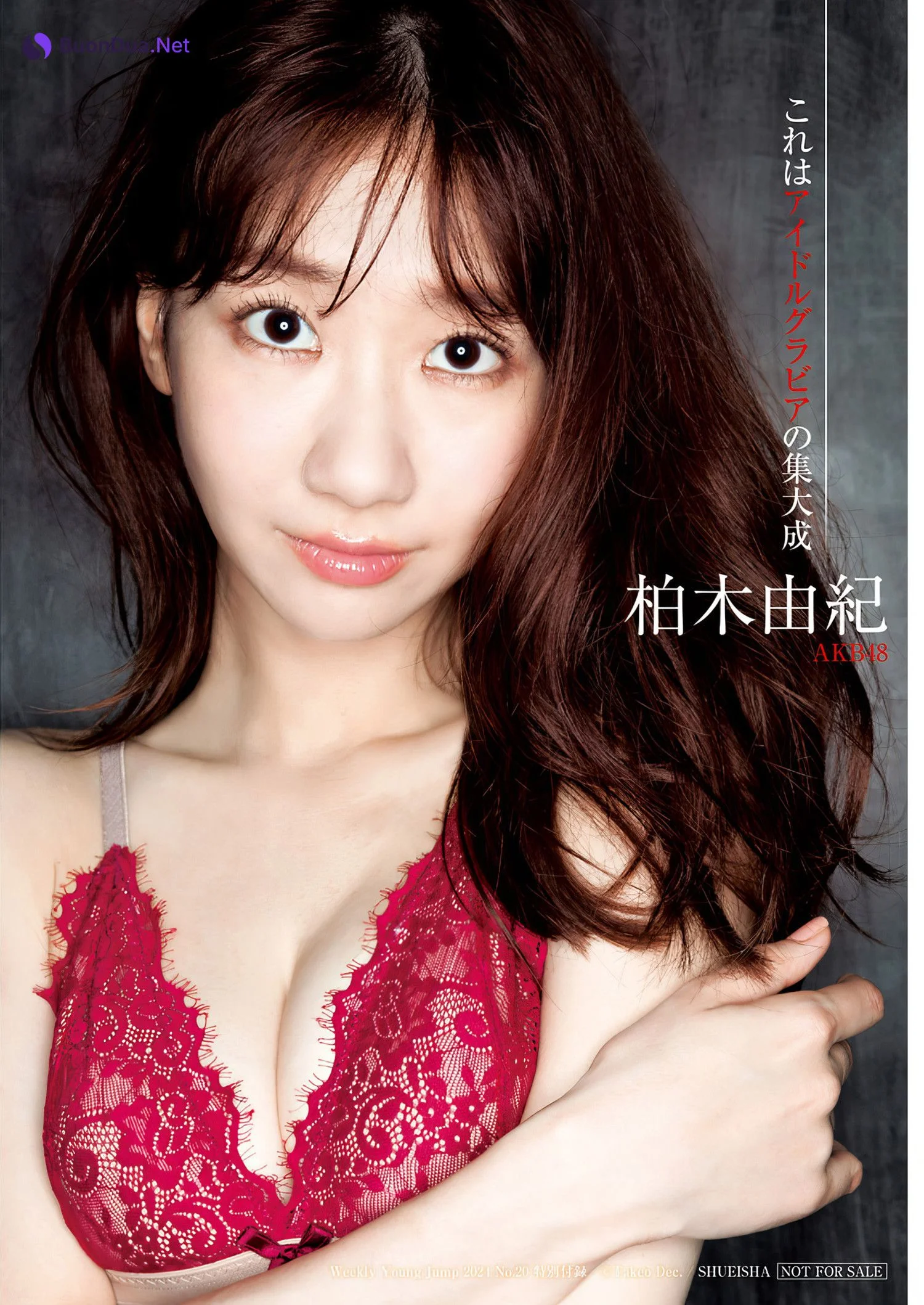 Yuki Kashiwagi 柏木由紀, Young Jump 2024 No.20 (ヤングジャンプ 2024年20号) - Photo 16