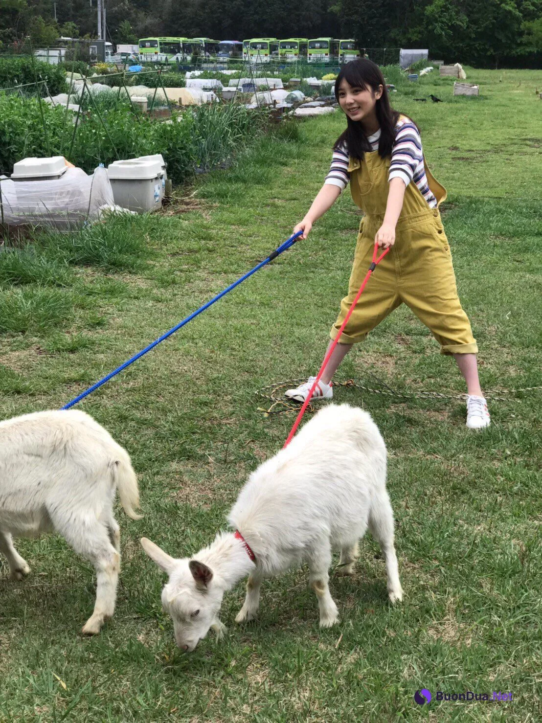 Yuki Yoda 与田祐希, FLASHスペシャル グラビアBEST2019年初夏号 - Photo 3