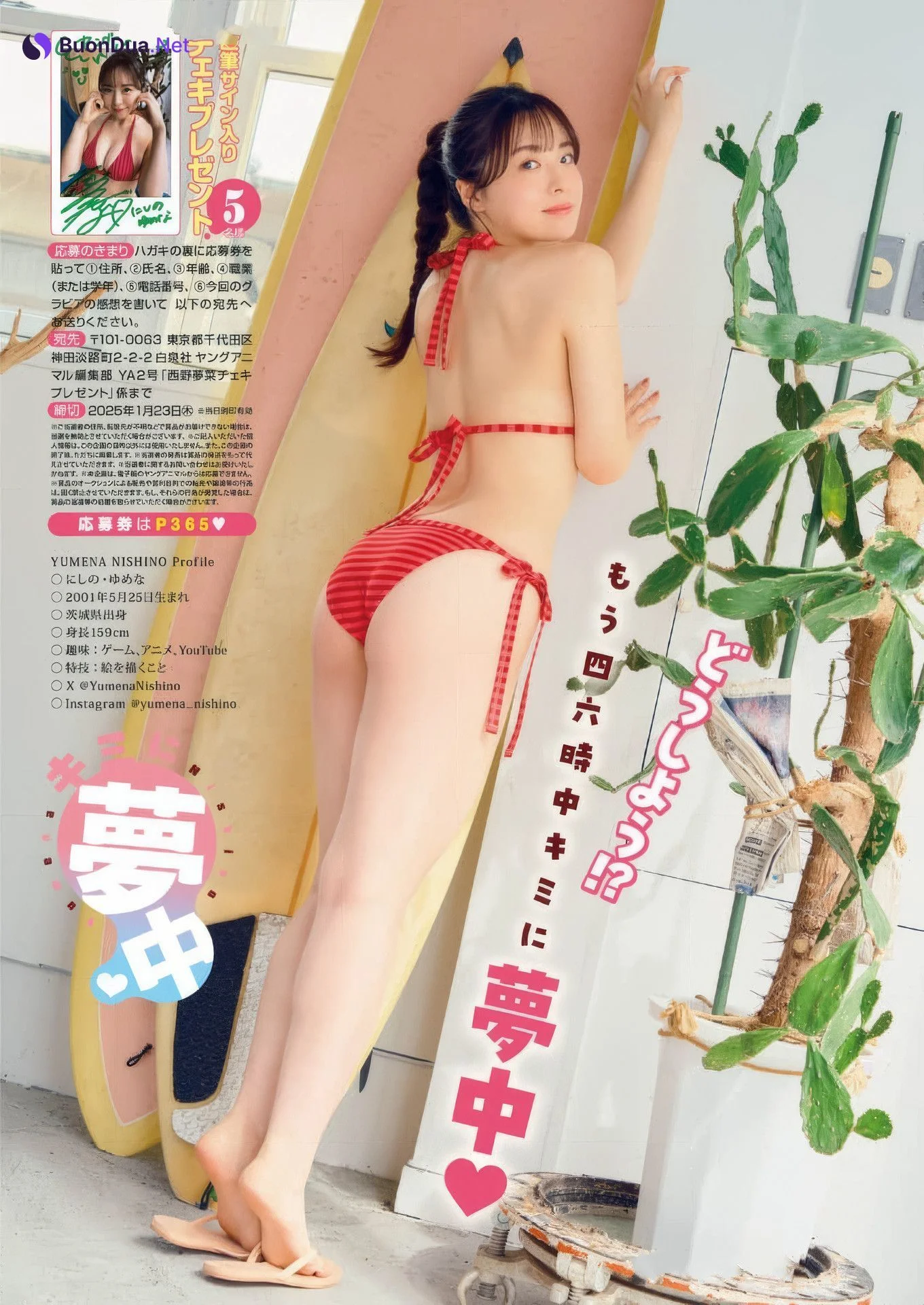 Yumena Nishino 西野夢菜, Young Animal 2025 No.02 (ヤングアニマル 2025年2号) - Photo 8
