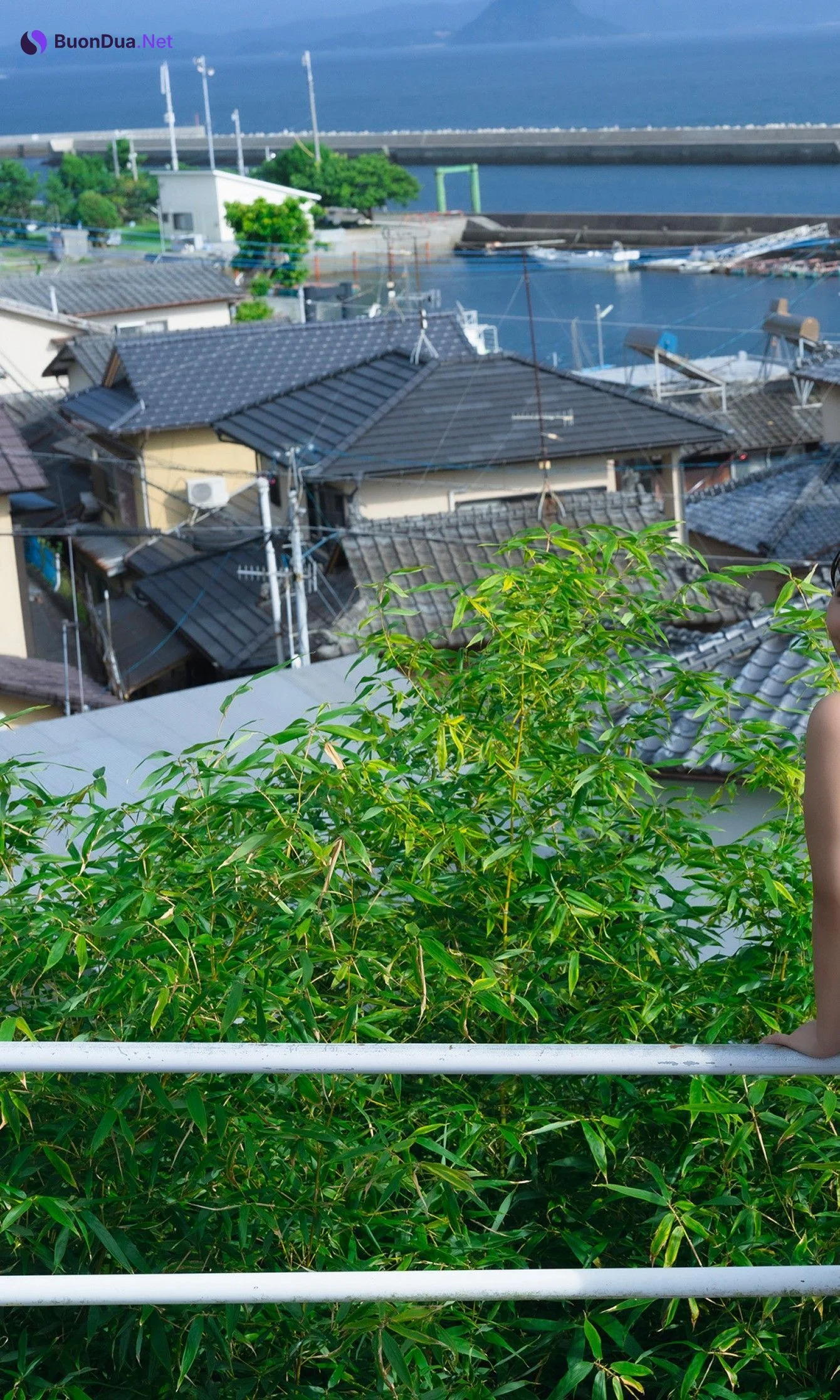 Yuzuha Hongo 本郷柚巴, 週プレ プラス！ 「大人ゆずはじめました」 Set.03 - Photo 15
